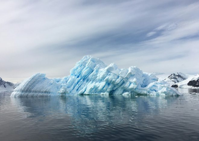 Las profundidades de la Antártida siempre habían sido un misterio, hasta ahora: 3.000 «megaestructuras» submarinas